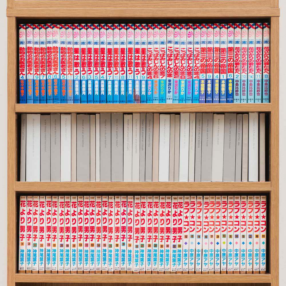 dinos（ディノス） 細かな棚調節で効率収納できる スマート薄型本棚