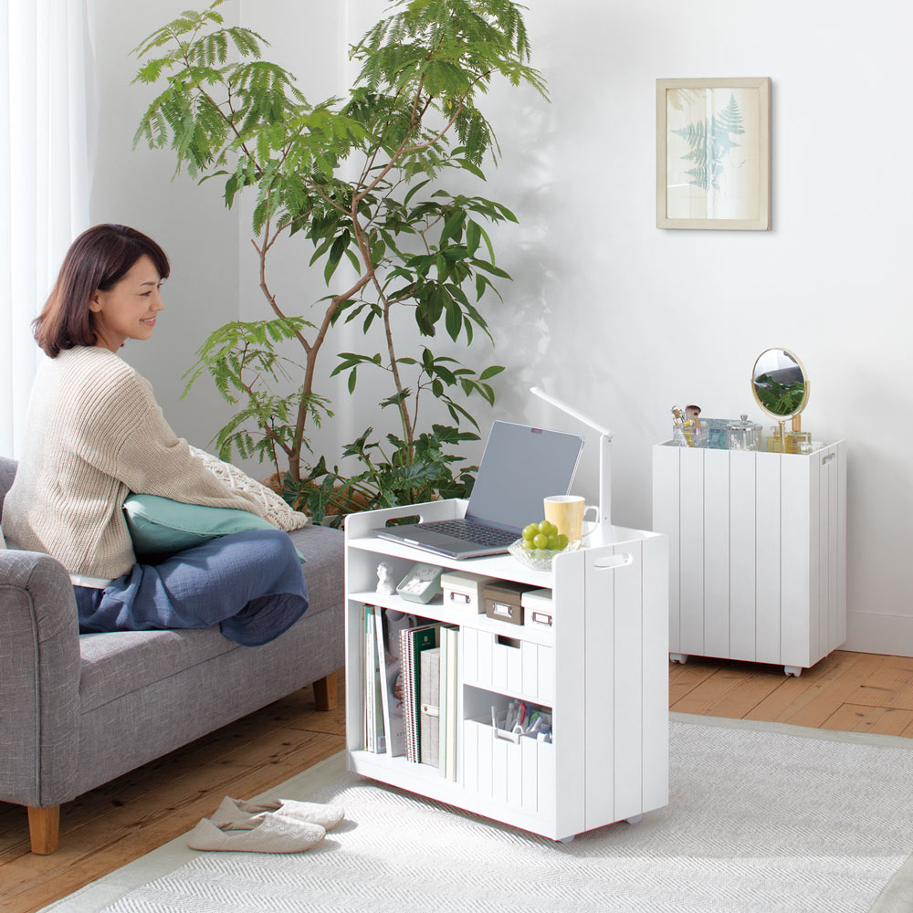 dinos（ディノス） 隠せるリビング整理ワゴン 収納タイプ 幅60cm 小物