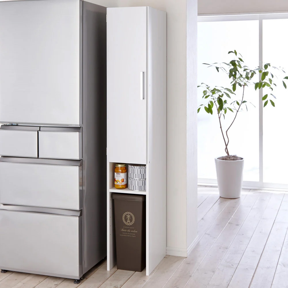 dinos（ディノス） ［幅25奥行47.5cm］ 下段オープンすき間収納庫 日本