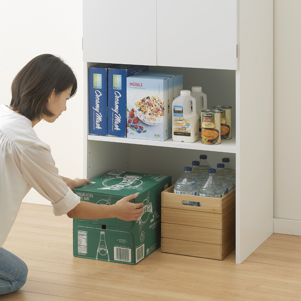 dinos（ディノス） 【幅49cm】ゴミ箱上を有効活用！下段オープン