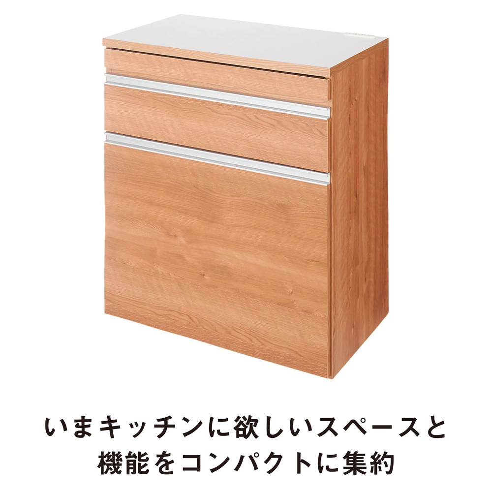 dinos（ディノス） 組立不要 スライドテーブル付きキッチン収納 ゴミ箱