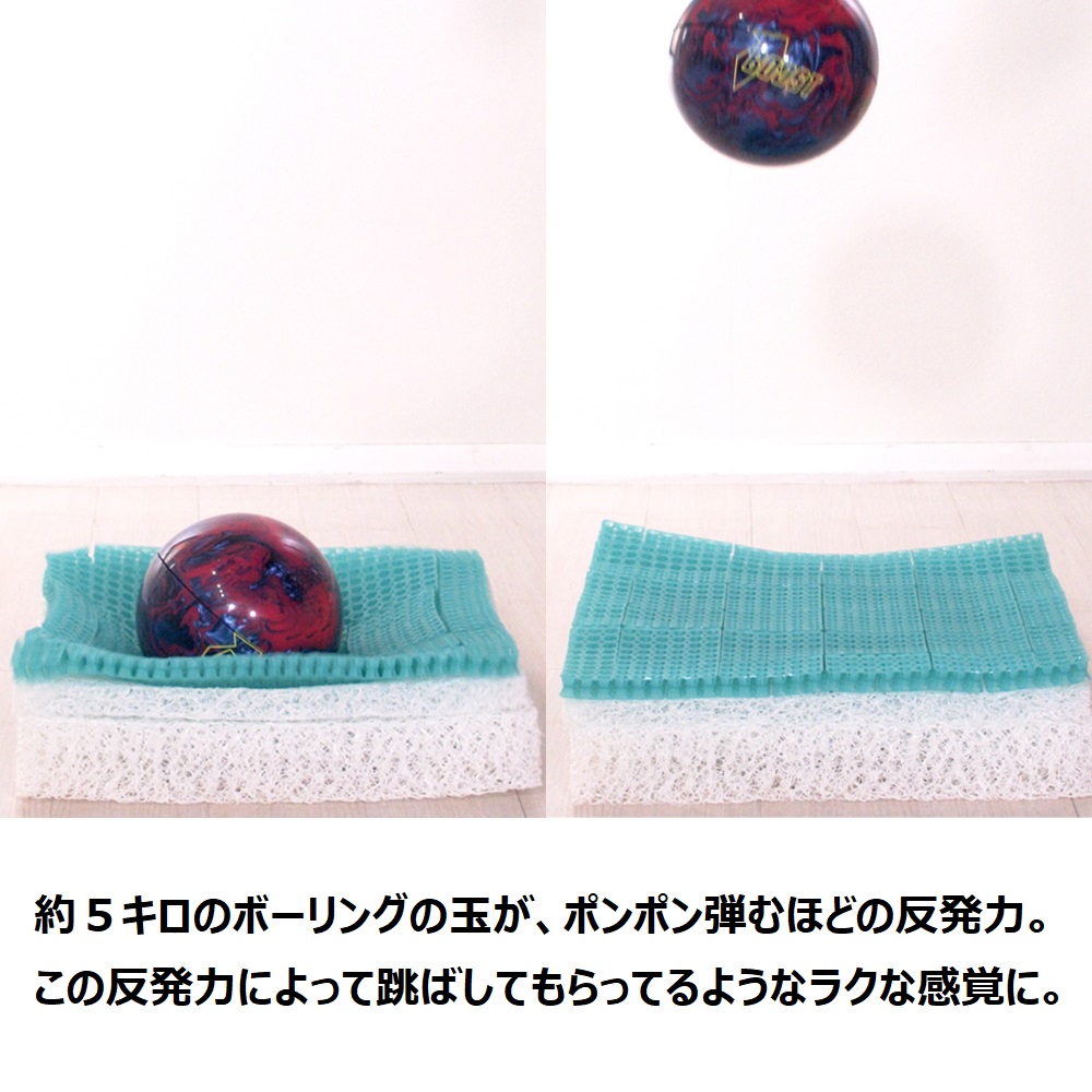 dinos（ディノス） トランポリン 大人用 フィットネス器具 フジテレビ
