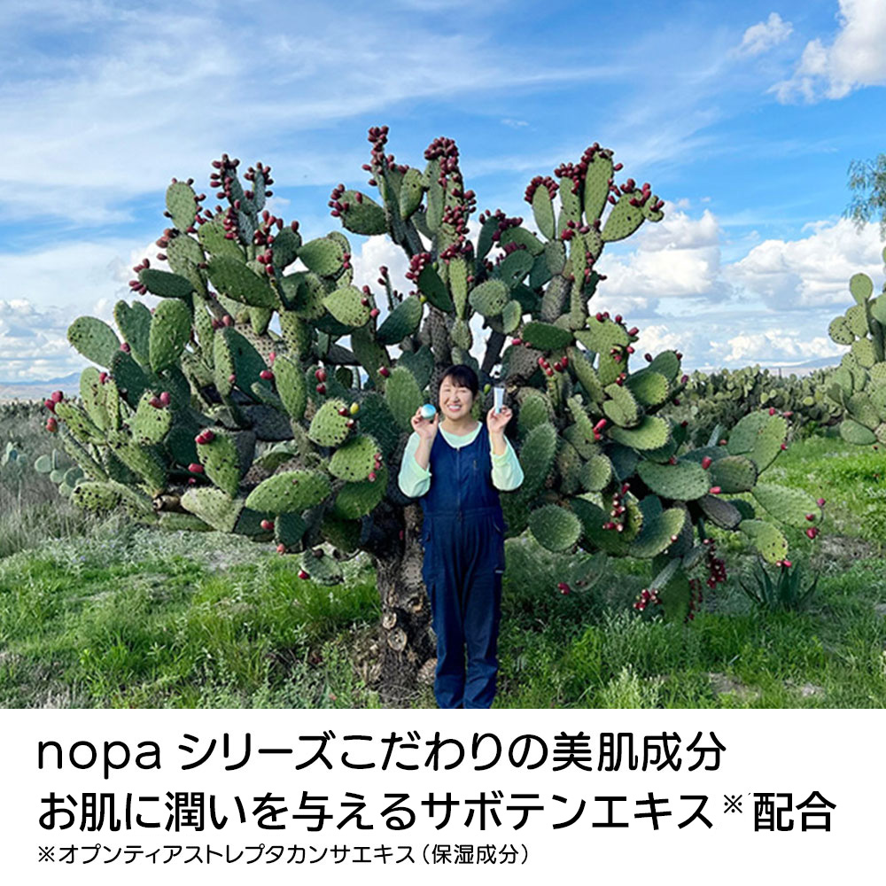 dinos（ディノス） ノパ ファンデーション ディノス特別セットフェイス