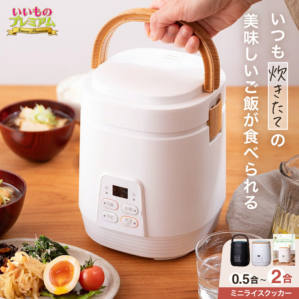 dinos（ディノス） 炊飯器 小型 一人暮らし 2合炊き ミニ 早炊き
