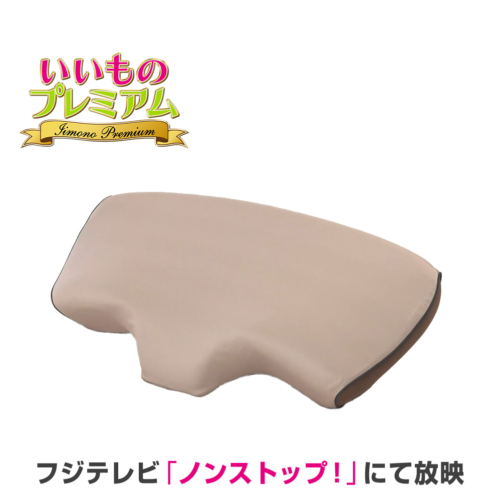 西川（nishikawa） ナチュラルフィットまくらリッチ 寝具 旧 枕 AR2667
