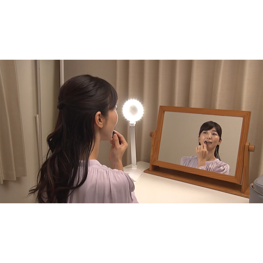 dinos（ディノス） 拡大鏡付き ライト 拡大鏡 ライト付き スタンド