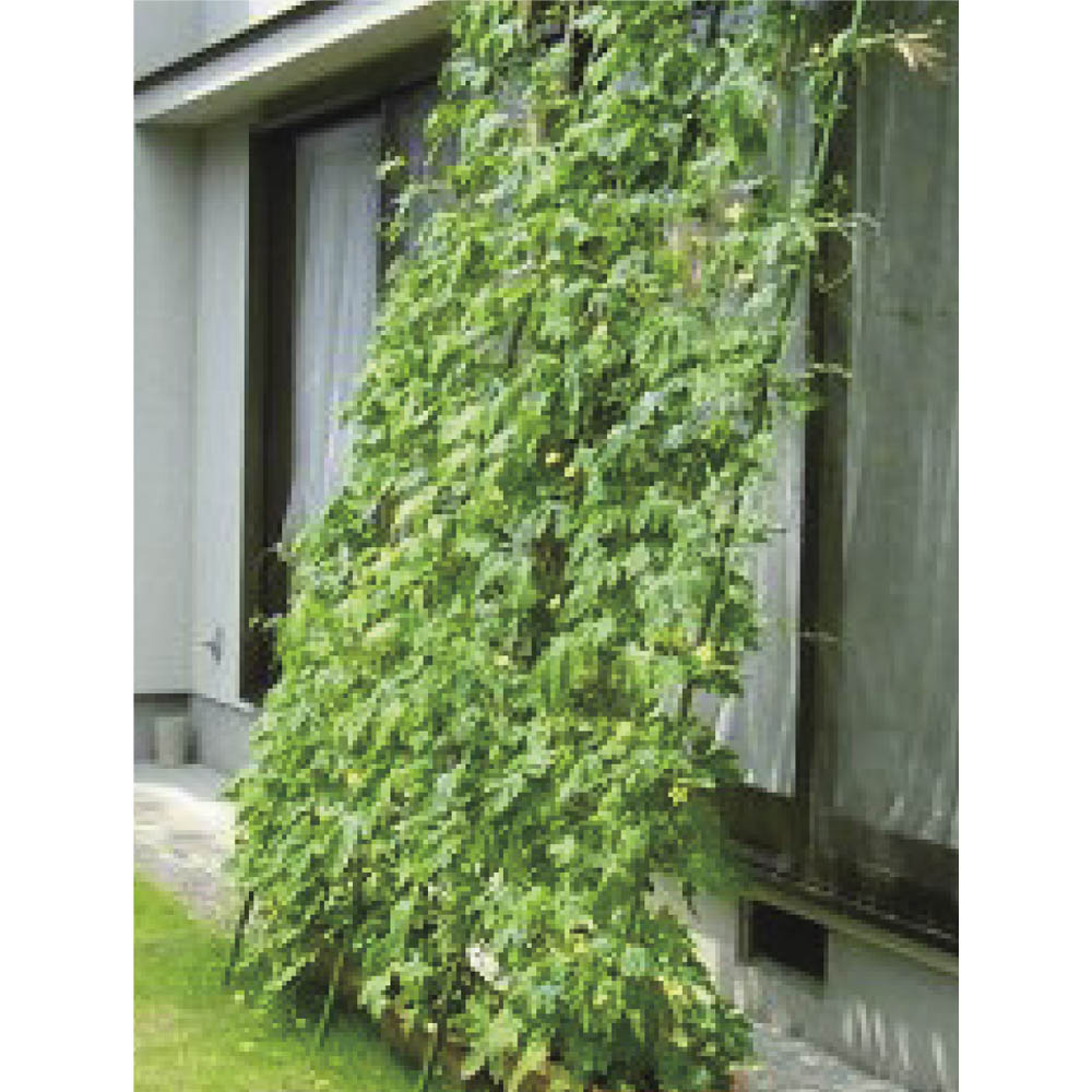 最新エルメス ガーデニング フラワー G プランター台付き アイアングリーンカーテン 奥行広々ハイタイプ トレリス ラティス フェンス エクステリア ガーデニング用品 ガーデンファニチャー Www May Clean Co Il