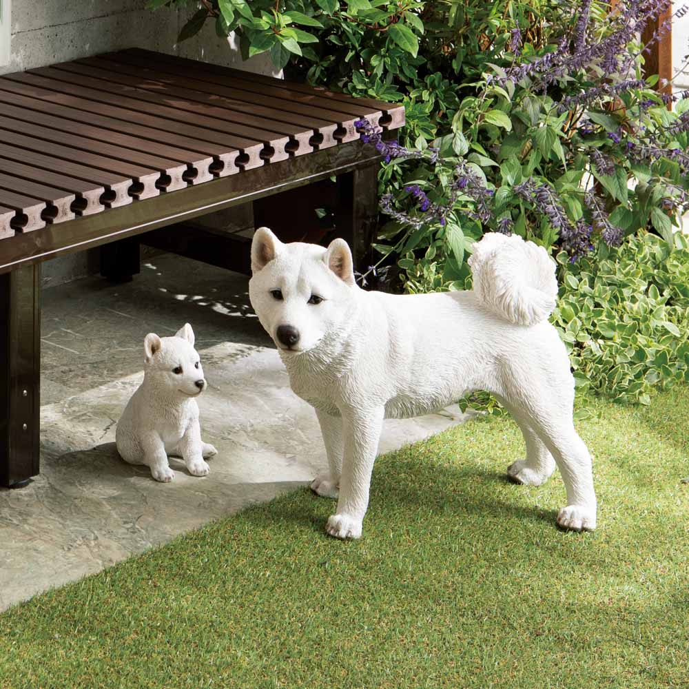ガーデンオーナメント 置物 白柴犬のオーナメント 親 G73618