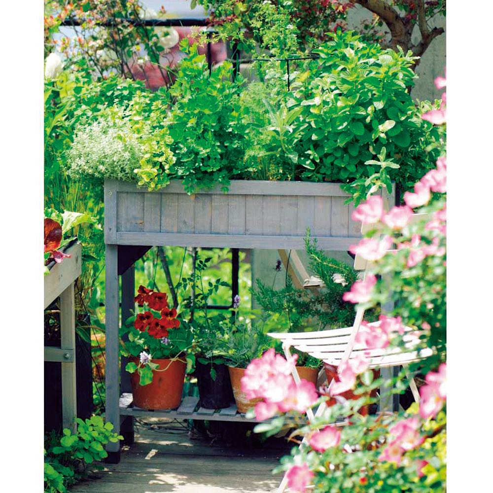 dinos（ディノス） ハーブ用菜園プランター ベジトラグ 薄型（4コマ