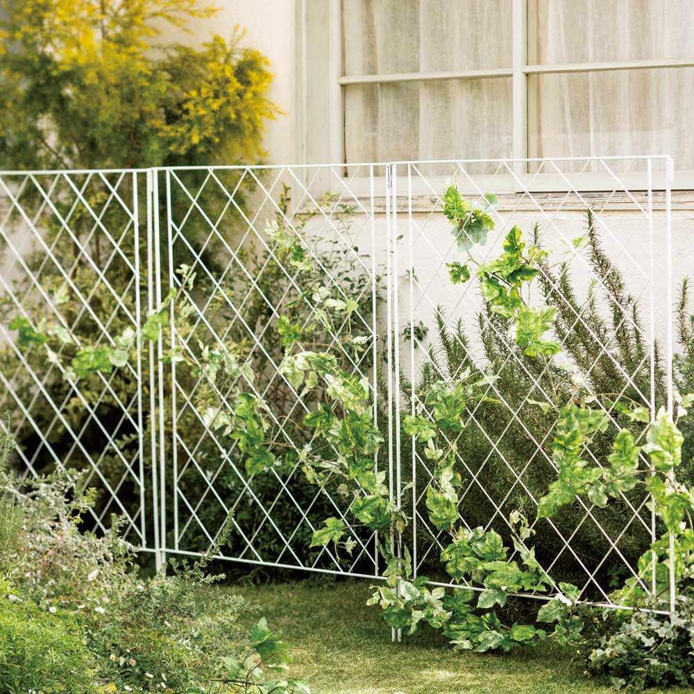 dinos（ディノス） 境界線に！ガーデンフェンス 3枚セット G86818