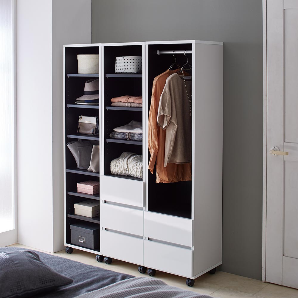 移動式間仕切りクローゼット　ディノス 移動式間仕切りクローゼットワードローブ 板扉タイプ・ハンガー2段