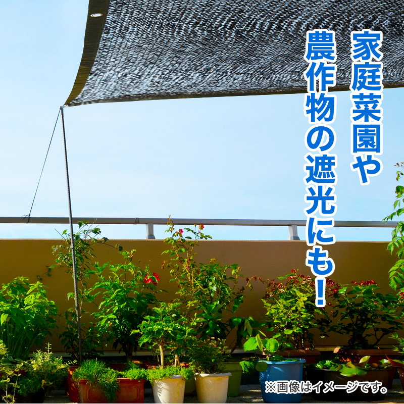ダイオ 公式 ラッセル遮光網75TH 75％ サイズ 幅2m×長さ10m 黒