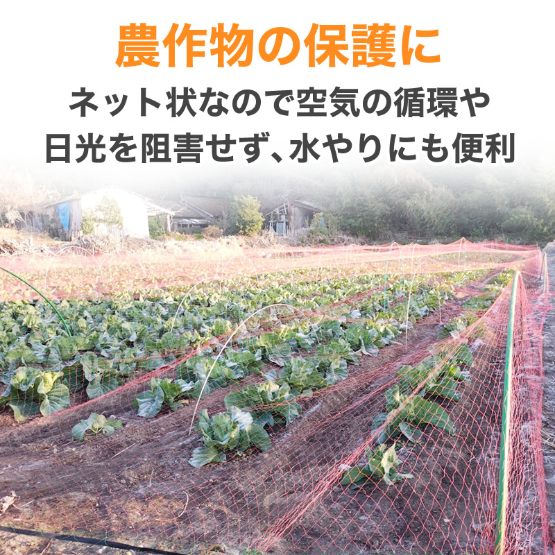 ダイオ 強力防鳥網 ブルー 30mm目 30坪 5.4mx18m 1000D 農園芸用 糸が