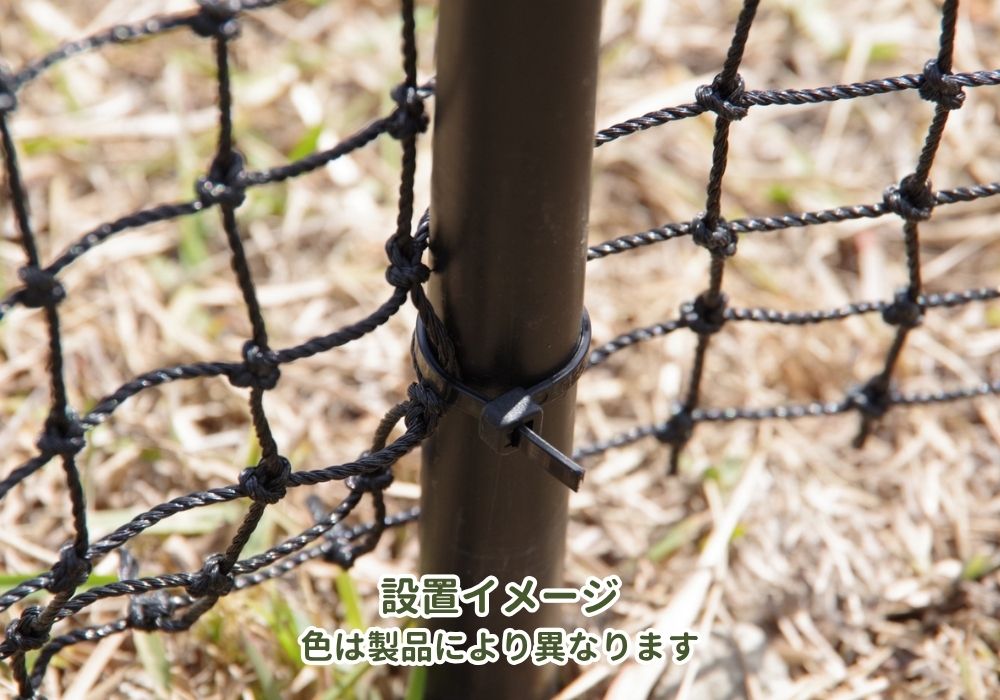 ダイオ 公式 防球 防獣 防鳥 DIY 丈夫 網目 25mm 2m×3m 黒 ホーム