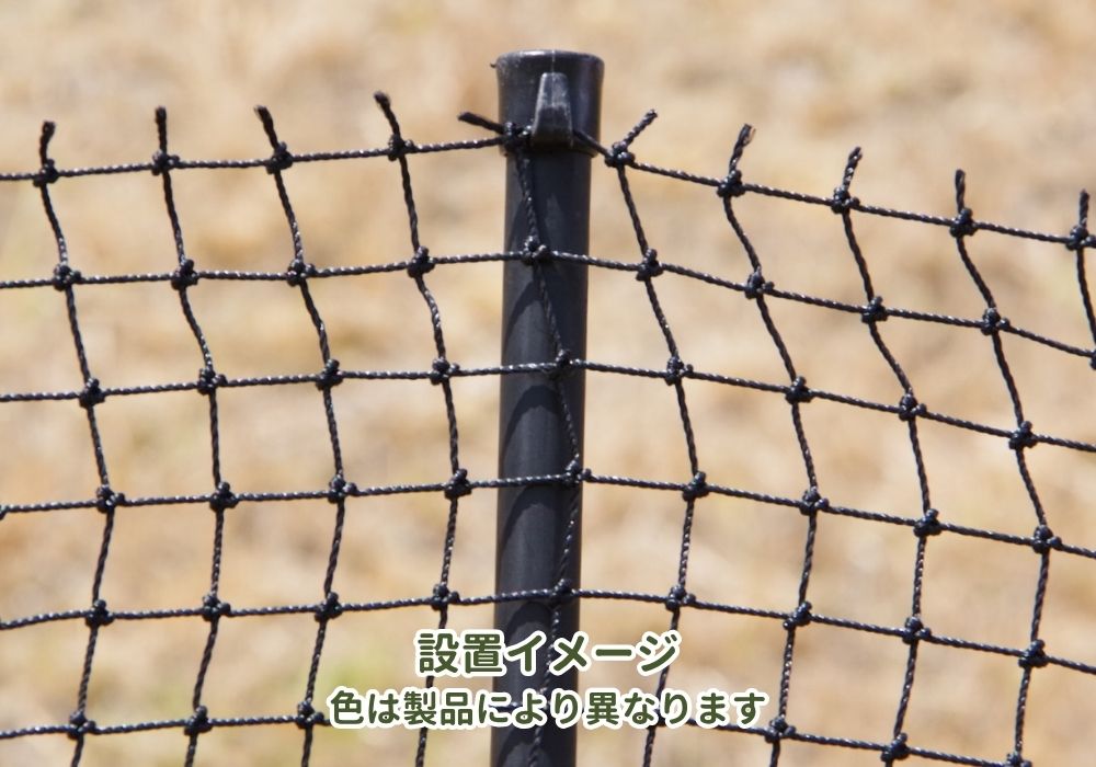 ダイオ 公式 防球 防獣 防鳥 DIY 丈夫 網目 25mm 2m×2m 黒 ホーム