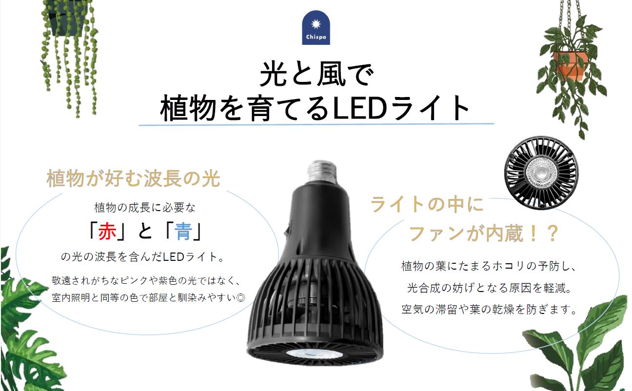 公式 CHISPA 植物育成ライト 観葉植物 育成用 ブラック ファン付 LED