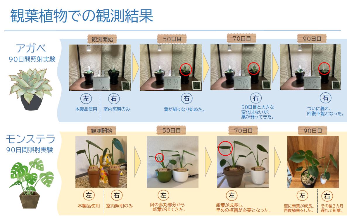 公式 CHISPA 植物育成ライト 観葉植物 育成用 ブラック ファン付 LED