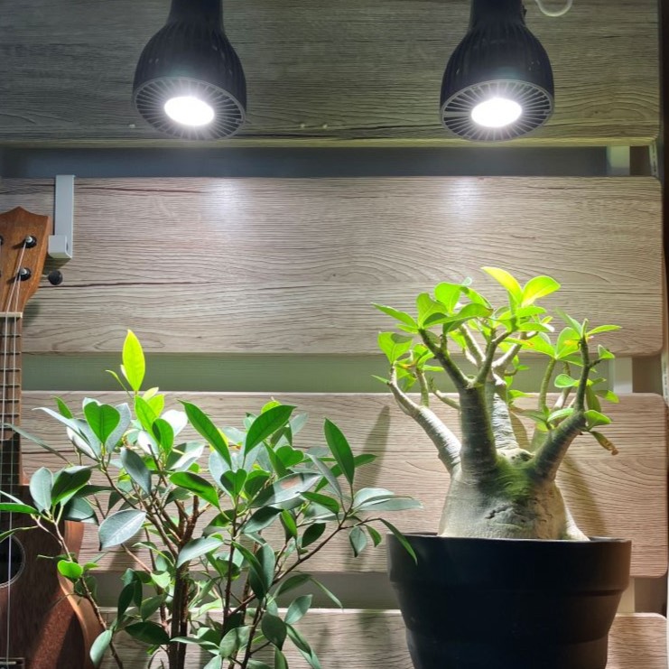 公式 CHISPA 植物育成ライト 観葉植物 育成用 ブラック ファン付 LED