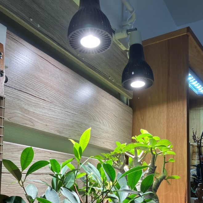 公式 CHISPA 植物育成ライト 観葉植物 ...の詳細画像2