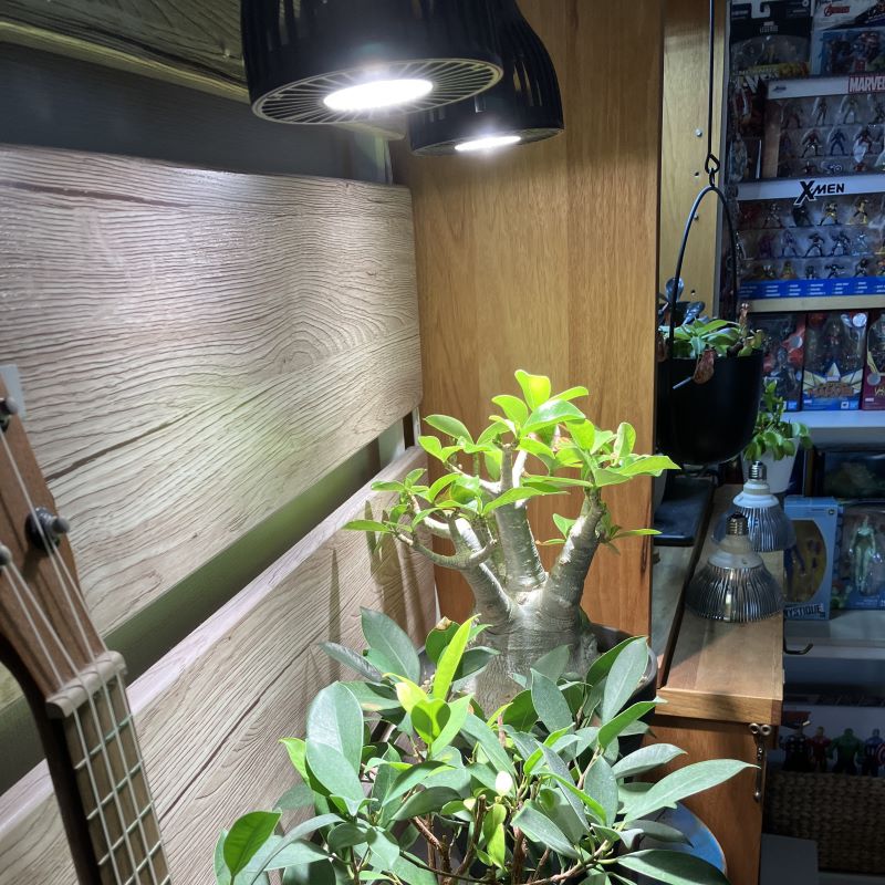 公式 CHISPA 植物育成ライト 観葉植物 育成用 ブラック ファン付 LED