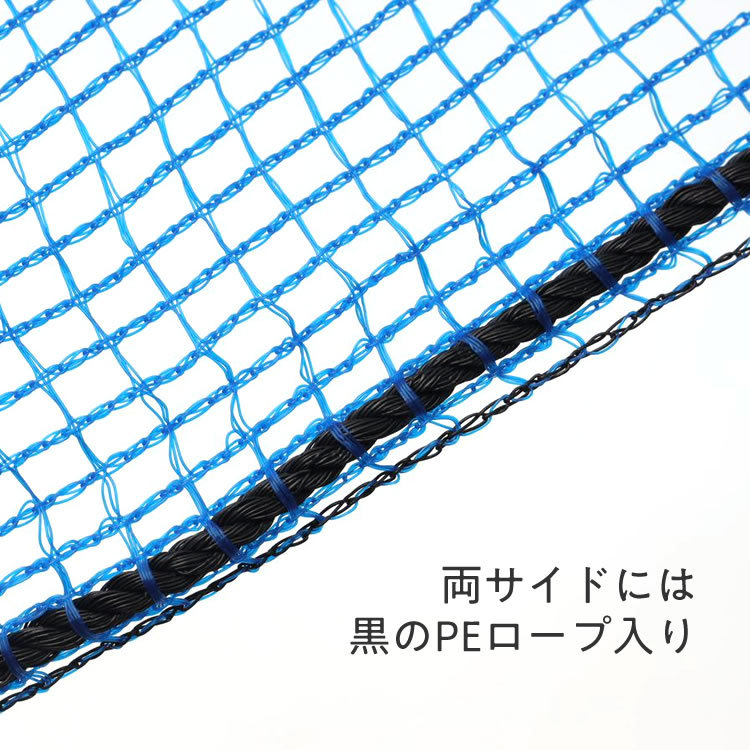 日本最大の 1個までなら全国一律送料300円 税込 北海道産 てんさい含蜜糖 粉末 500g ムソー discoversvg.com