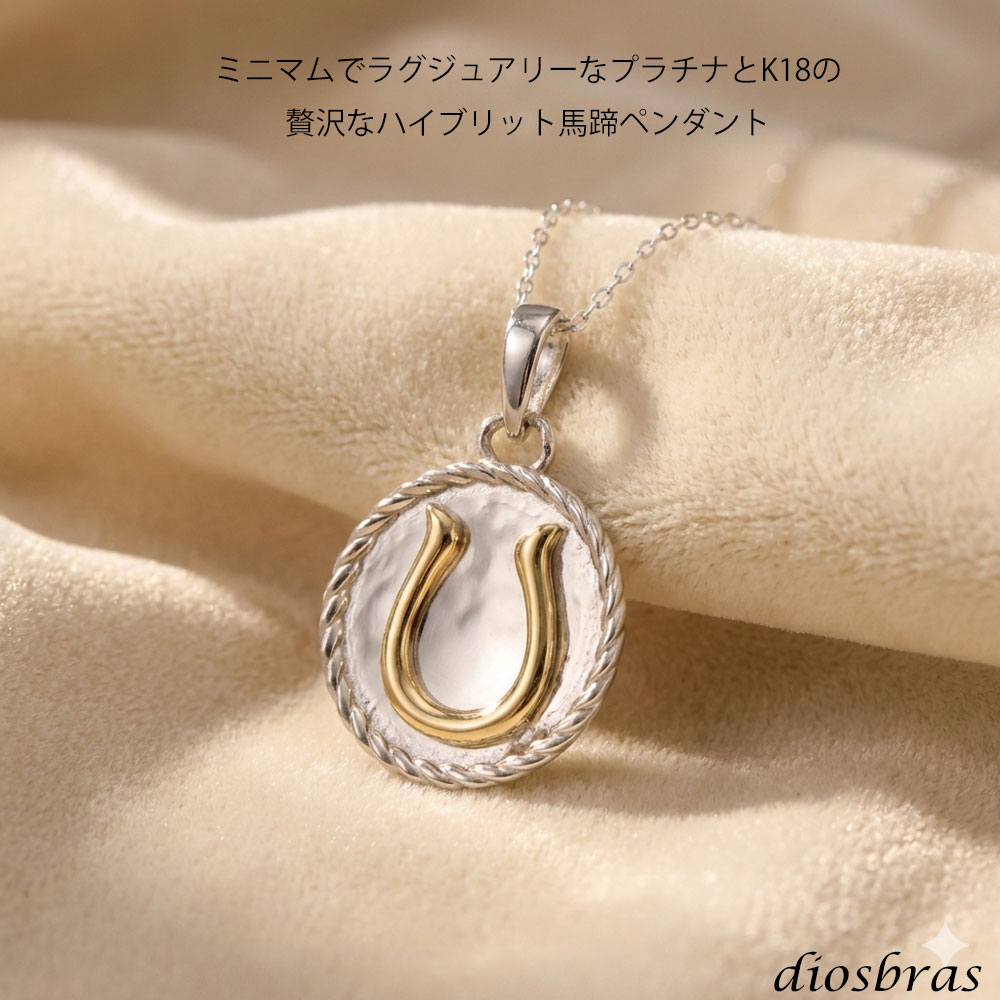馬蹄 ホースシュー コイン ペンダント プラチナ PT850 k18 トップのみ