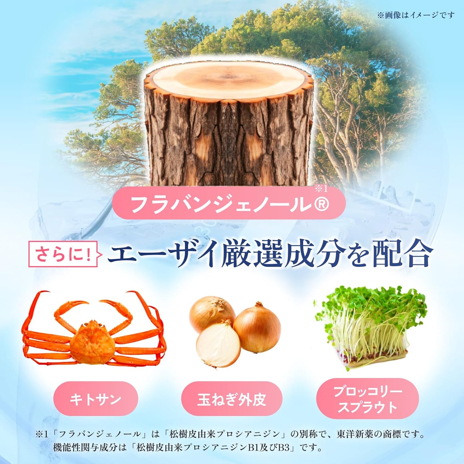 Eisai（エーザイ） 【血管のしなやかさ・悪玉コレステロール対策】血管