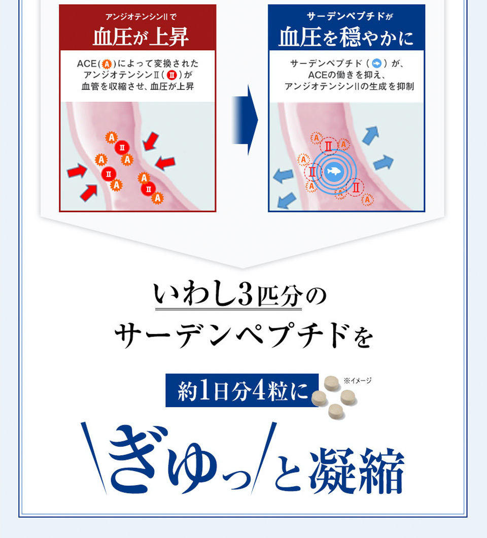 ヘルケア4粒×30袋入×2箱 特定保健用食品 健康管理 生活習慣