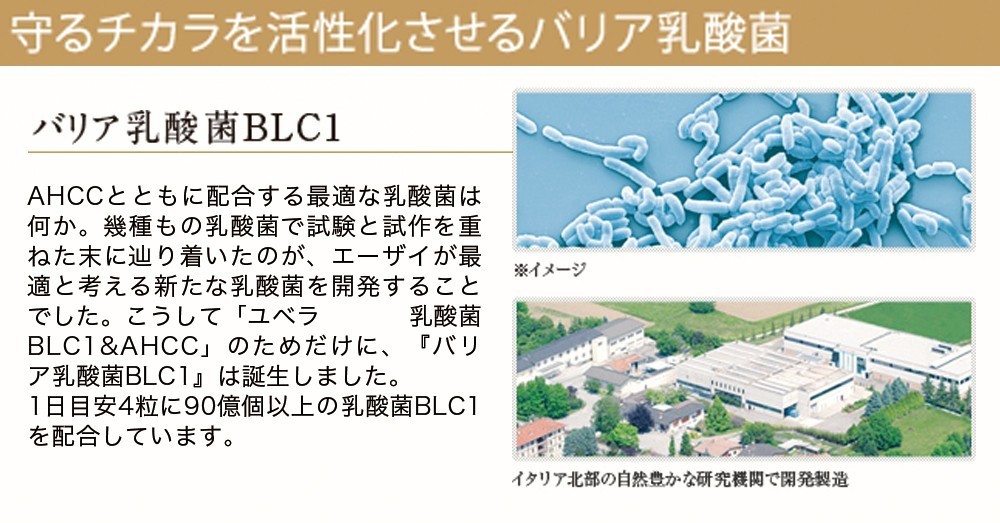 Eisai（エーザイ） ユベラ 乳酸菌 BLC1&AHCC 60粒 アルミパウチ 6袋