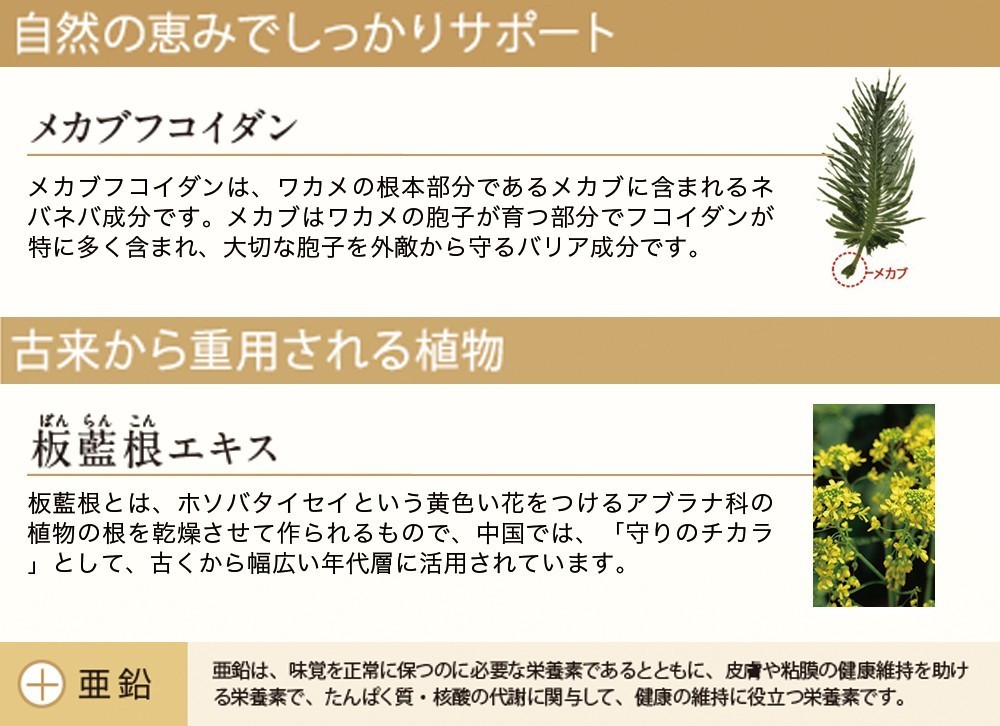 Eisai（エーザイ） ユベラ 乳酸菌 BLC1&AHCC 60粒 アルミパウチ 6袋