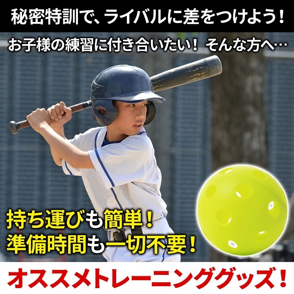 ヨカスポ YOCASPO 大型野球ネット 2.1×2.1M 硬式・軟式・ソフトボール対応 YCSP-BB-01 野球 ソフトボール 練習 バッティング ゲージ ピッチング 持ち運び 簡単