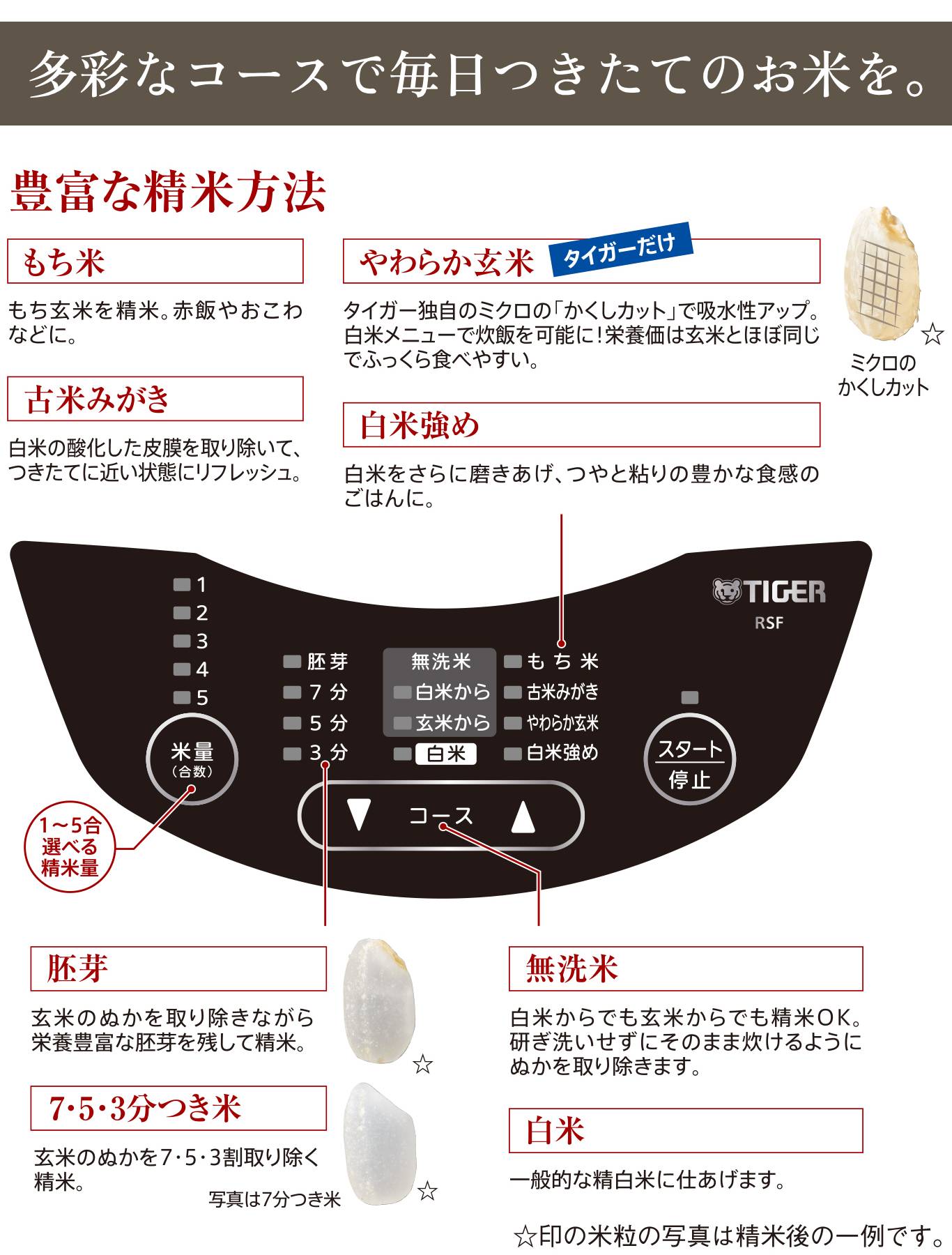 タイガー魔法瓶 タイガー 精米機 日本製 家庭用 DCモーター搭載 RSF