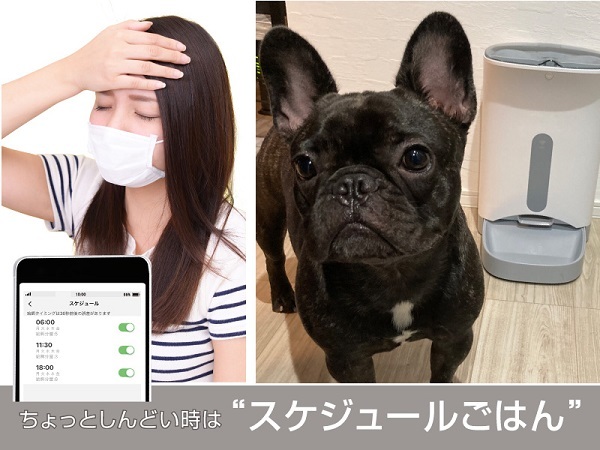 フードタイマーの人気商品・通販・価格比較 - 価格.com