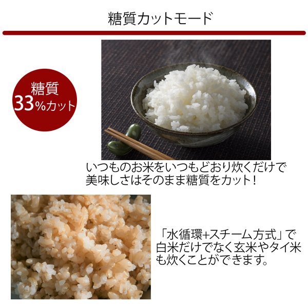 炊飯器 糖質カット 5合 一人暮らし 炊飯ジャー 安い 低糖質 糖質カット炊飯器 食事制限 ダイエット コンパクト スリム お米 5合炊き 蒸し料理  :a000000131015:Earth Wing - 通販 - Yahoo!ショッピング