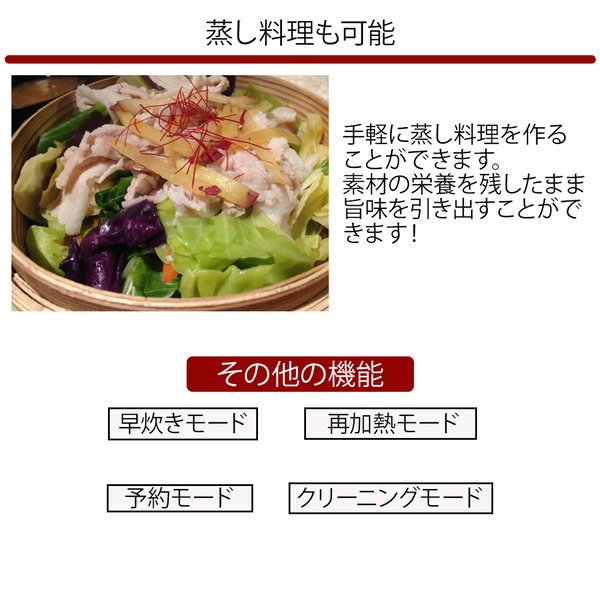 炊飯器 糖質カット 5合 一人暮らし 炊飯ジャー 安い 低糖質 糖質カット炊飯器 食事制限 ダイエット コンパクト スリム お米 5合炊き 蒸し料理  :a000000131015:Earth Wing - 通販 - Yahoo!ショッピング