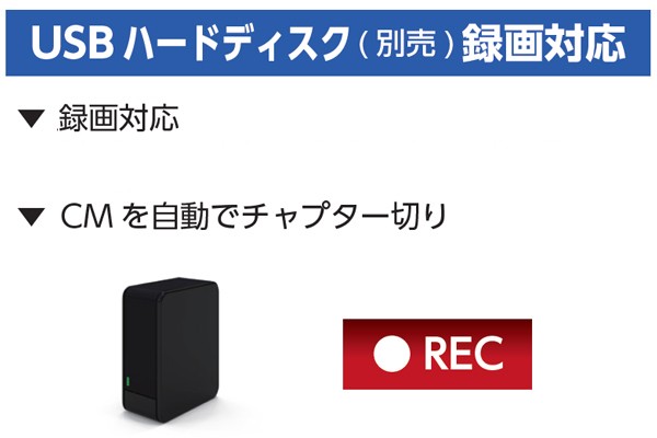 テレビ 32型 ハイビジョン 液晶テレビ 32インチ DOL32S100 新品 HDMI 地上デジタル 外付け HDD 対応 録画対応