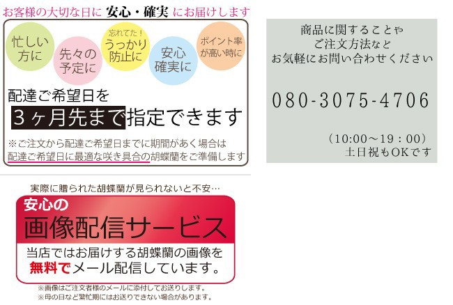 画像配信サービス無料