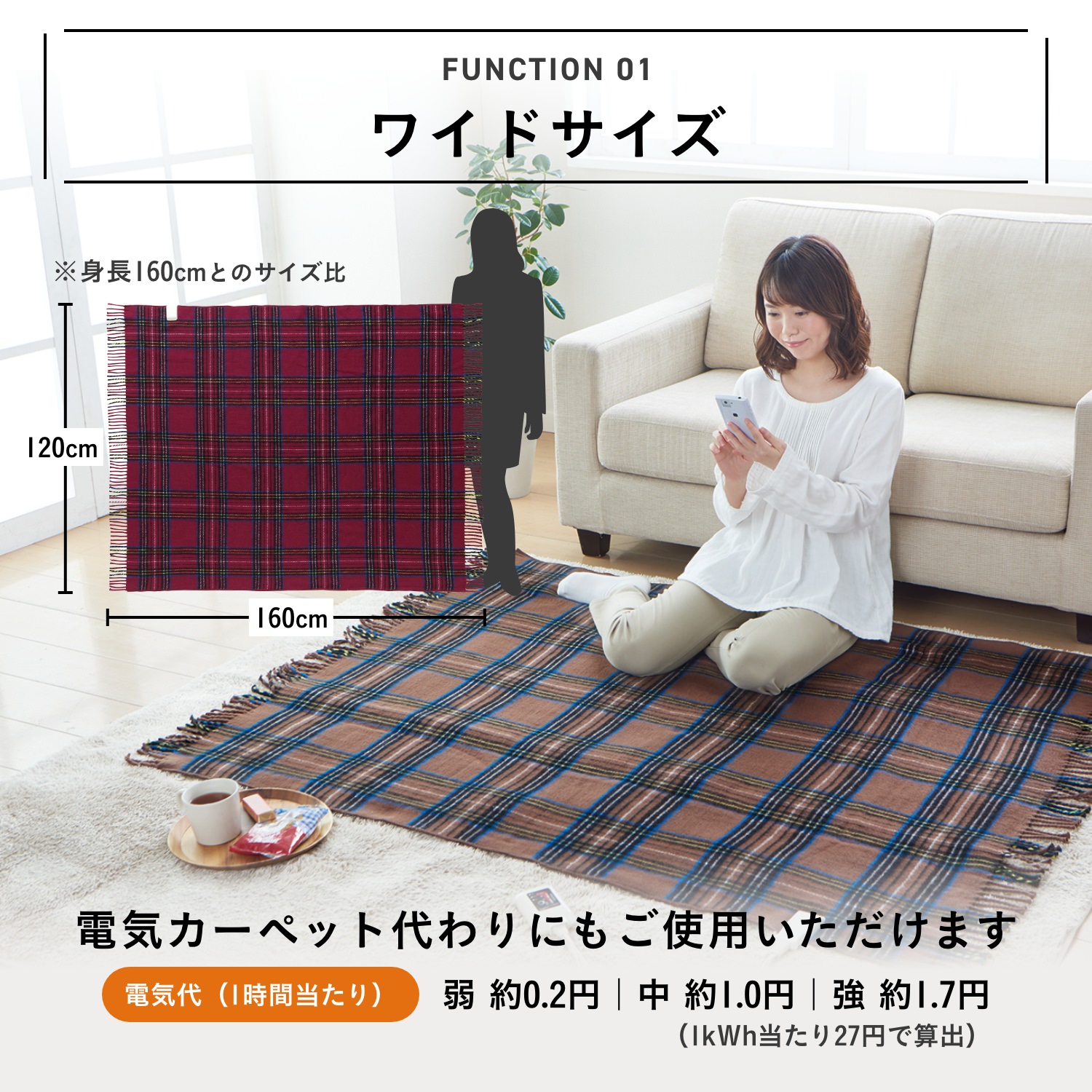 電気ひざ掛け 毛布 160×120 洗える タイマー付き かわいい おしゃれ 布団 寝具 リビング オフ ィス ひざ掛け 電気 ブランケッ ト  ブラウン レッド グリーン