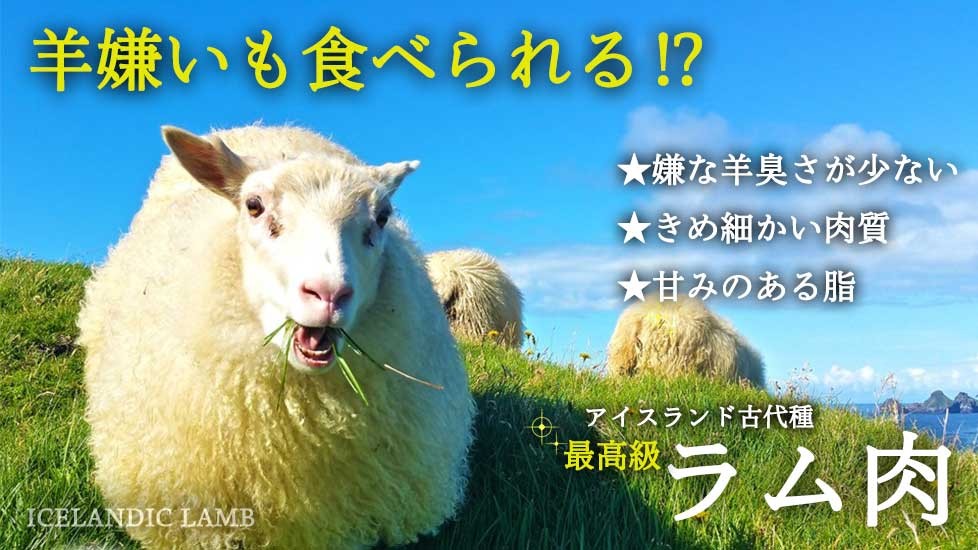 アイスランドラムの魅力について