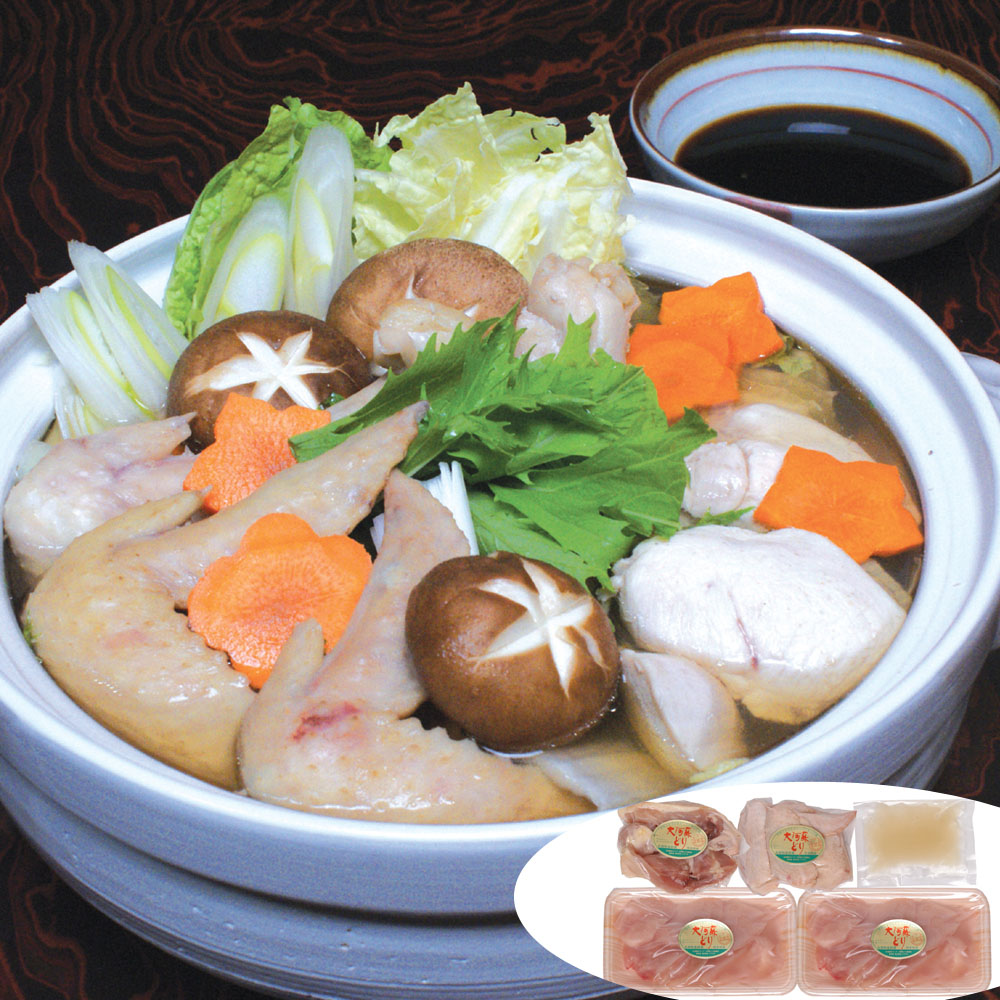 熊本県産 銘柄鶏 大阿蘇どり コラーゲン スープ 水炊き 鍋セット 特製スープ 手羽先 骨付モモ肉 ムネ肉 冷凍 お取り寄せ