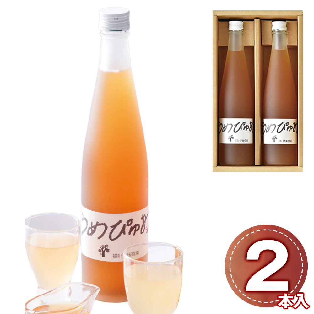 伊藤農園 うめぴゅあシロップ 500ml 2本セット 南高梅 和歌山 梅シロップ 粗精糖 自然熟成 炭酸割り ギフト プレゼント