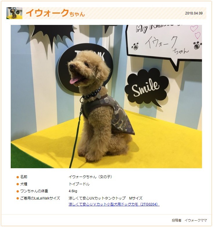 犬服 Uvカット 抗菌消臭効果もある涼しいタンクトップ ドッグカモ 小型犬用 日本製 チワワ トイプードル ミニチュアダックス ジャックラッセルテリア パグ Wd 2tg04 犬の洋服屋さん Yahoo 店 通販 Yahoo ショッピング