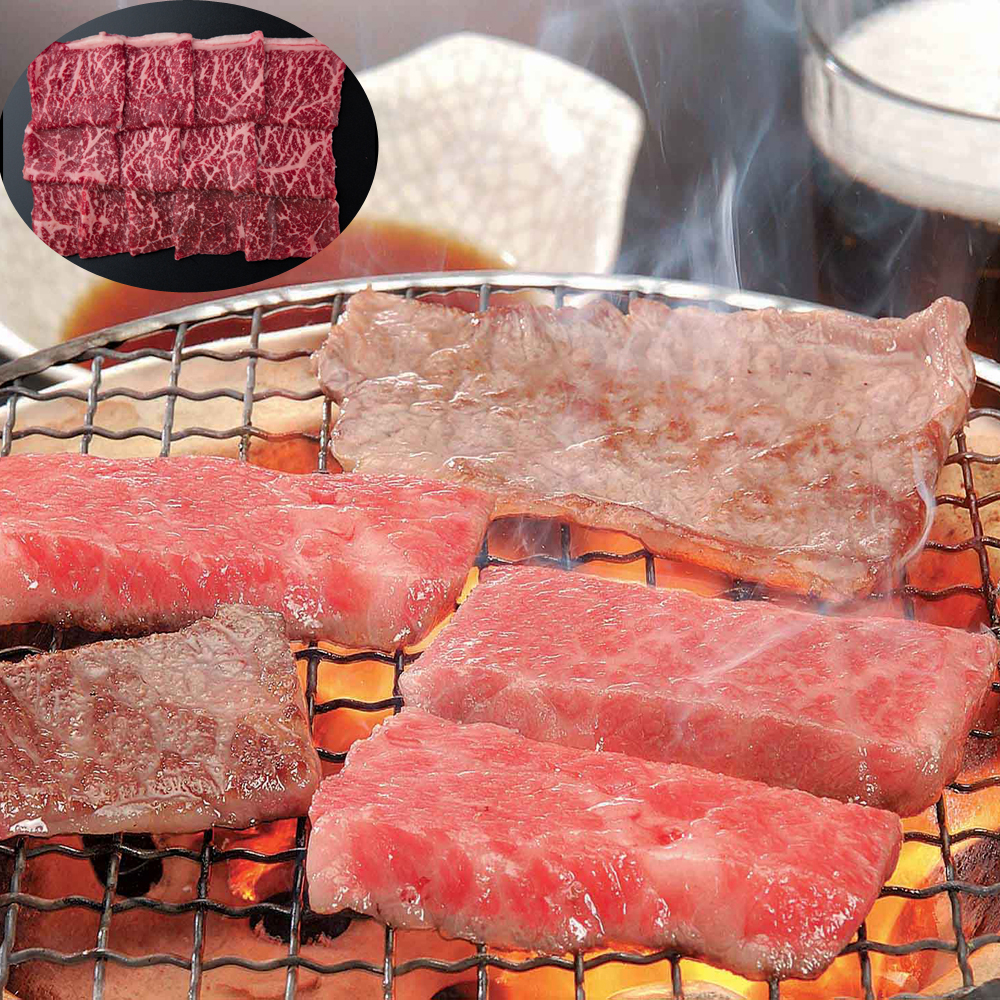 飛騨牛 焼肉 もも 450g 極上 黒毛和牛 国産 和牛 牛肉 焼き肉 もも肉 モモ A5 A4等級 ブランド牛 高級 肉 お肉 ギフト 贈答