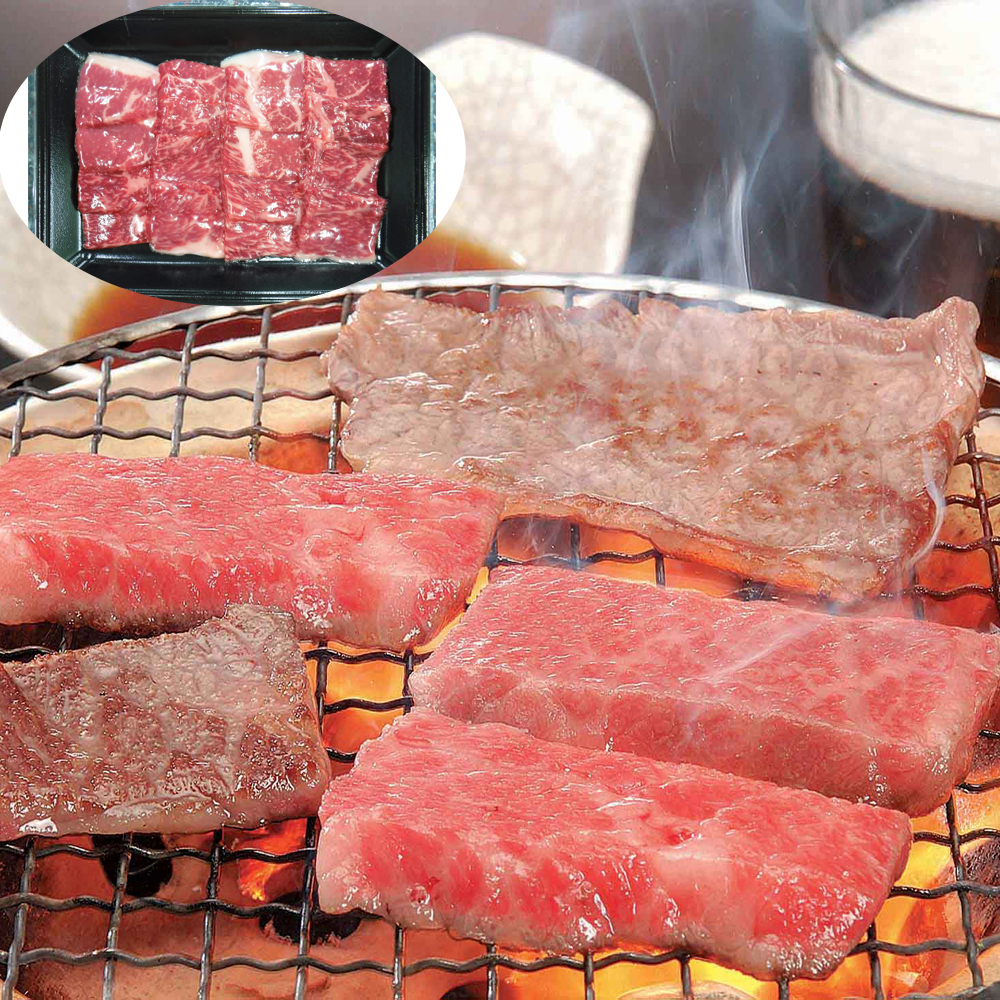 飛騨牛 焼肉 モモ バラ 250g 岐阜県産 黒毛和牛 ブランド牛 国産和牛 焼き肉 BBQ バーベキュー お取り寄せ グルメ ギフト