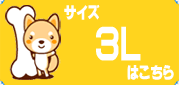 3L