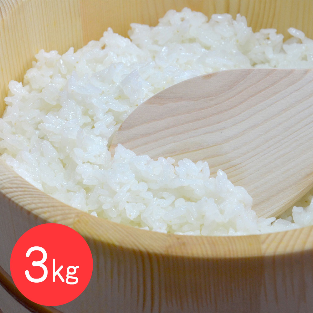 四万十のお米 3kg 国産 白米 低農薬栽培 四万十川 清流 育ち こだわり 農家直送 お取り寄せ グルメ ギフト 贈り物 贈答用