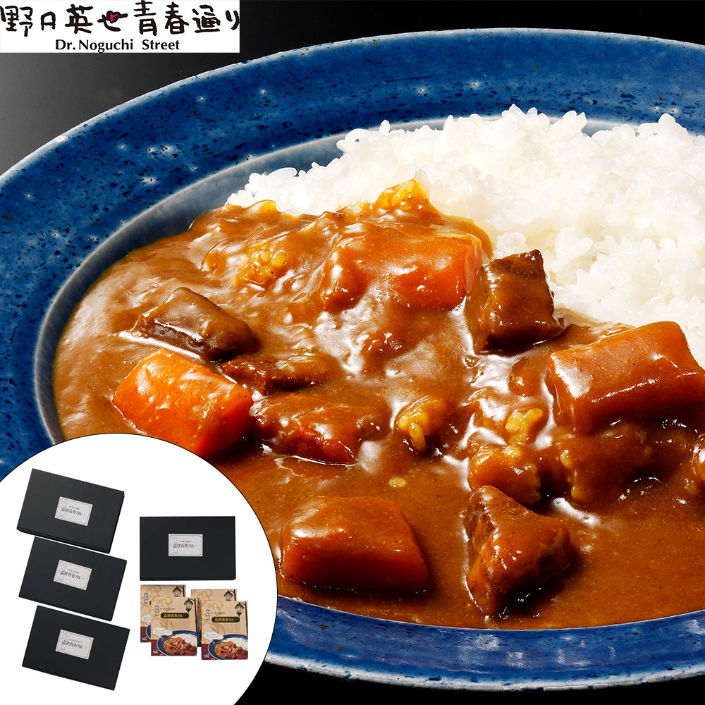 会津青春カレー 16食セット 200g 4箱入×4パック レトルトカレー 高級 ご当地カレー 福島 会津若松 ビーフカレー りんご