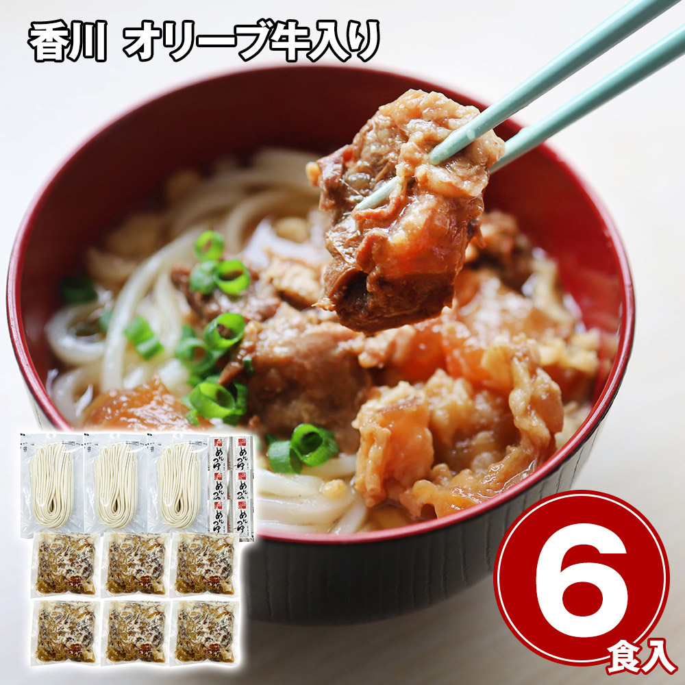 香川 オリーブ牛 入り 牛すじ 煮込み うどん 6人前 冷凍 讃岐うどん さぬきうどん 牛すじ煮込み 牛肉 惣菜 お取り寄せ グルメ