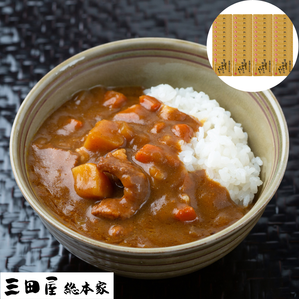 三田屋総本家 黒毛和牛 欧風 ちょこっと ビーフカレー 40食 セット レトルト カレー 高級 兵庫 老舗 肉の旨味 110g 小分け