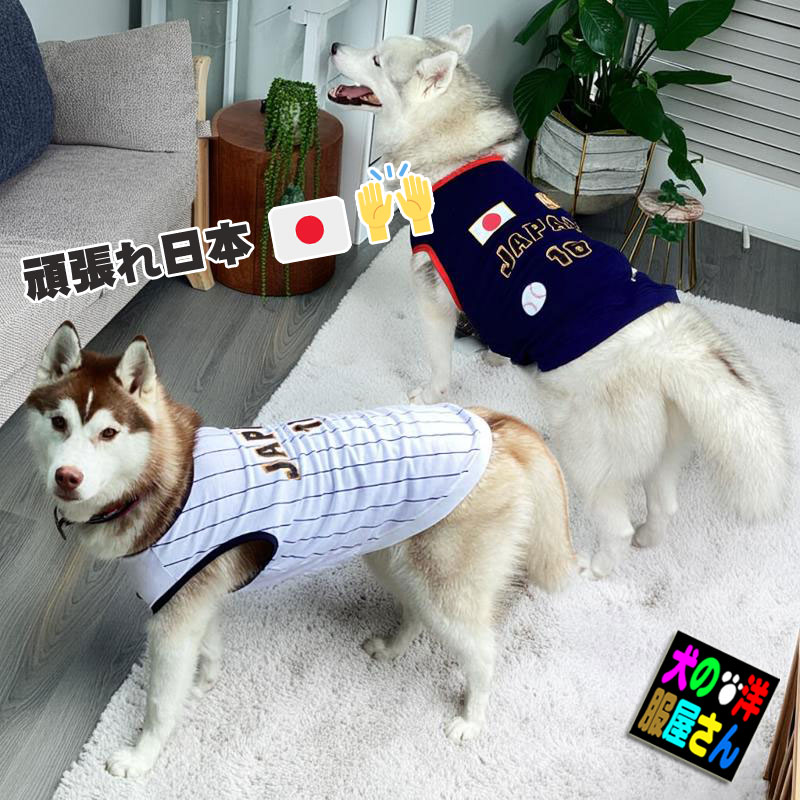いぬ　ユニフォーム紺色　白 犬服 WBC JAPAN ユニフォーム タンクトップ ノースリーブ 鹿の子 日本